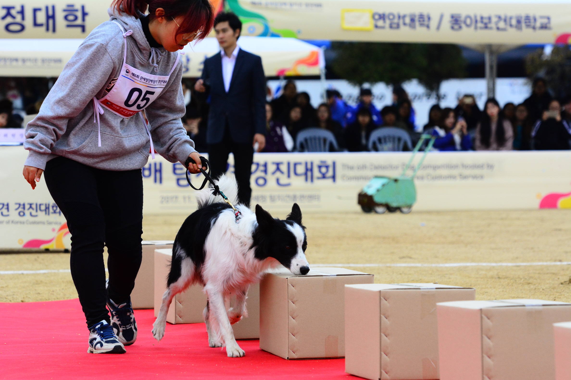 제6회 관세청장배 탐지견 경진대회