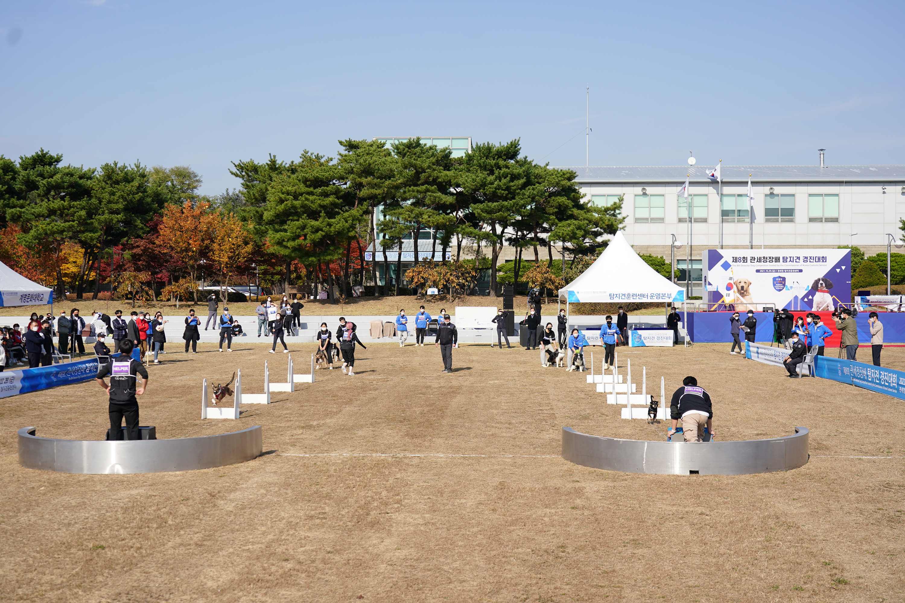 제8회 관세청장배 탐지견 경진대회