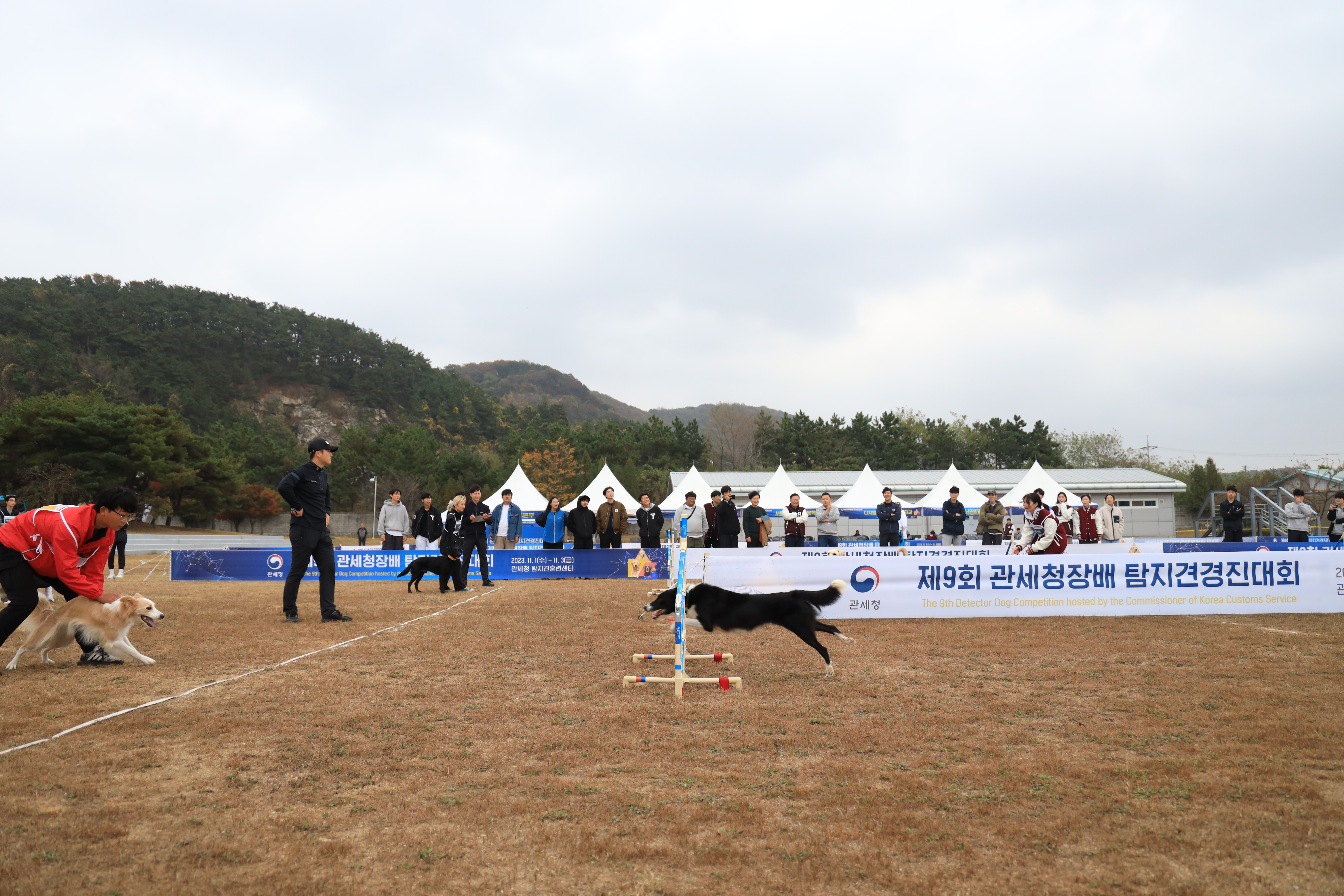 제9회 관세청장배 탐지견경진대회