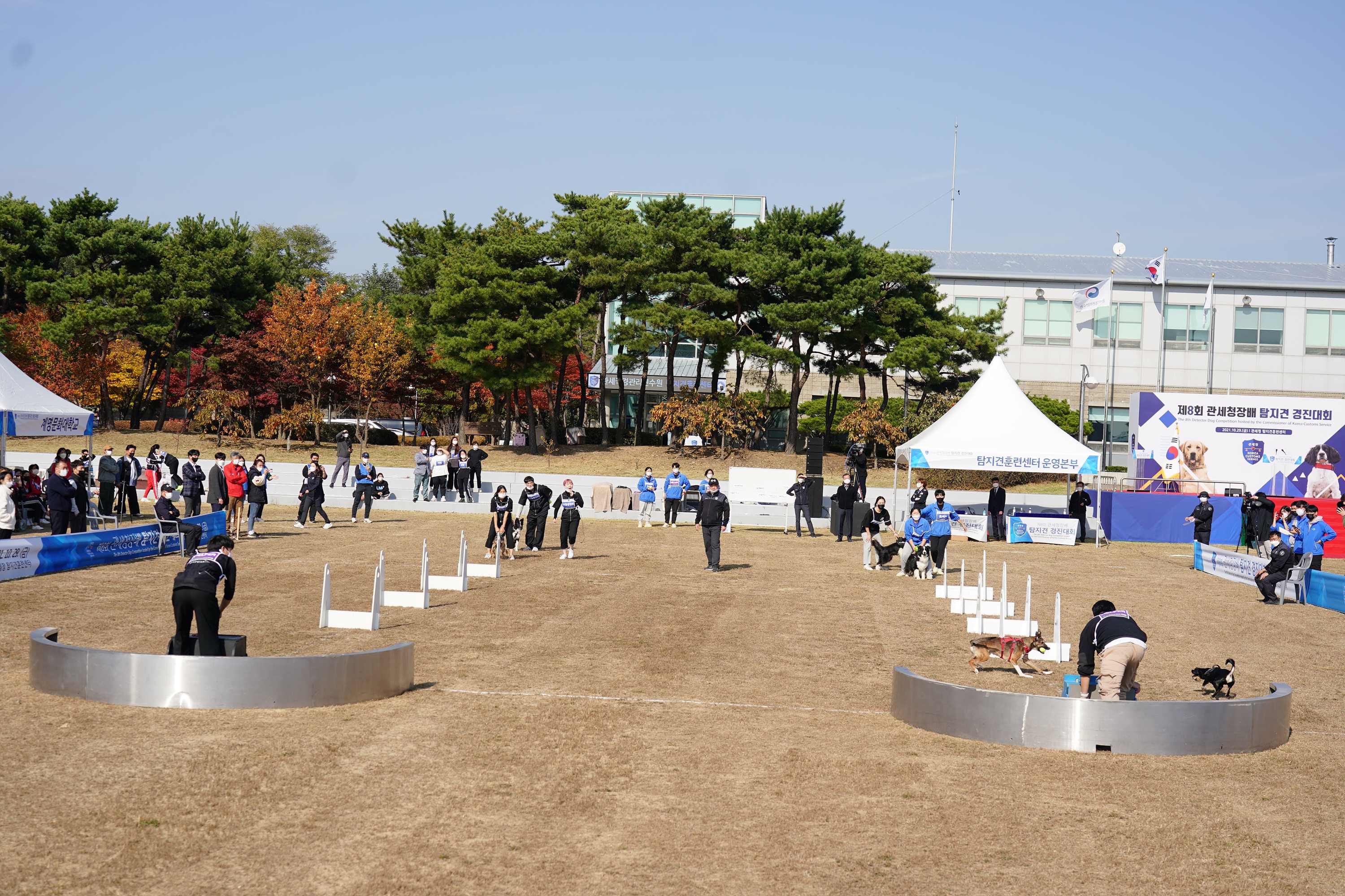 제8회 관세청장배 탐지견 경진대회