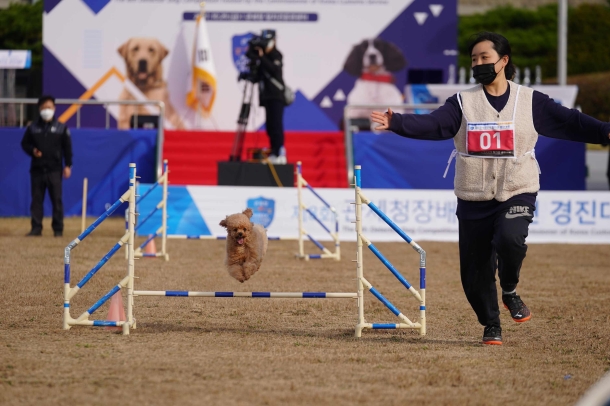 제8회 관세청장배 탐지견 경진대회