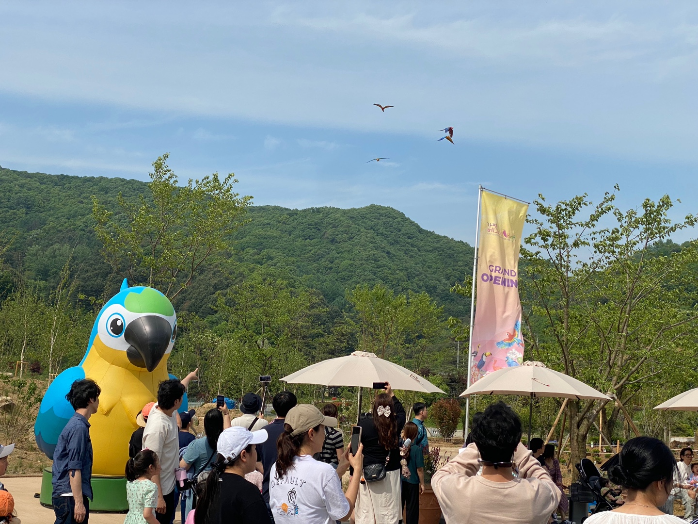 가평베고니아 새정원 어린이날 행사